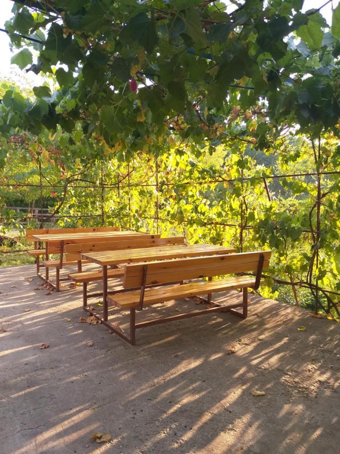 Zalan Vendeghaz Hotel Csaszartoltes Bagian luar foto