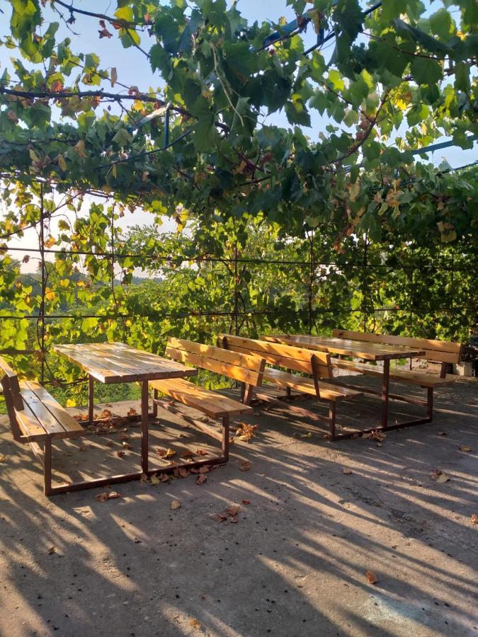 Zalan Vendeghaz Hotel Csaszartoltes Bagian luar foto